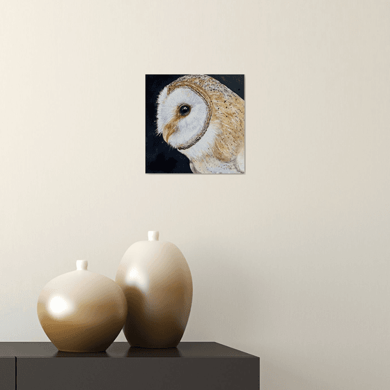 Golden Boy_ Barn Owl