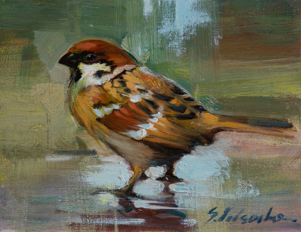 Aesthetic Sparrow by Sergei Yatsenko