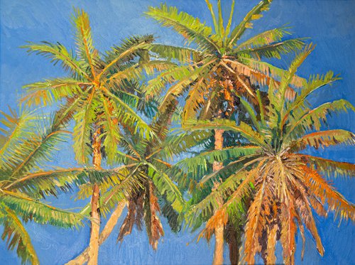 Coconut Palms by Suren Nersisyan