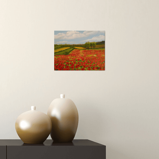 Poppy Field