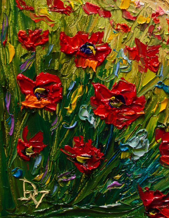 Where Poppies Meet the Waves