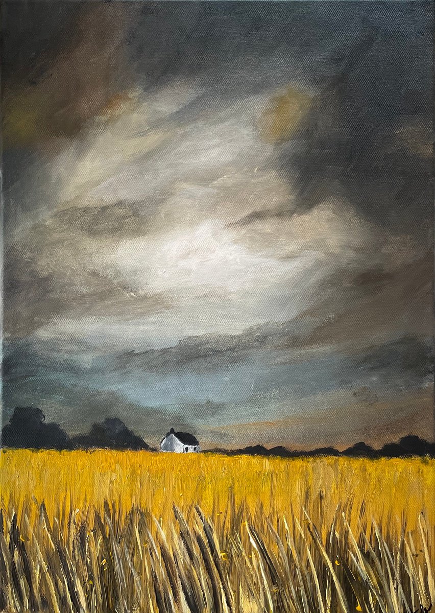 Golden Fields by Aisha Haider