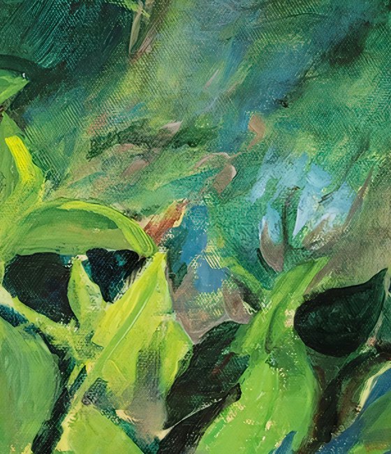 Pond 3