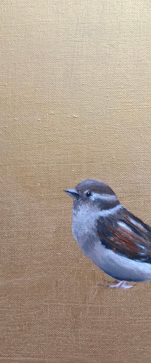 Little Sparrow On Gold by Laure Bury