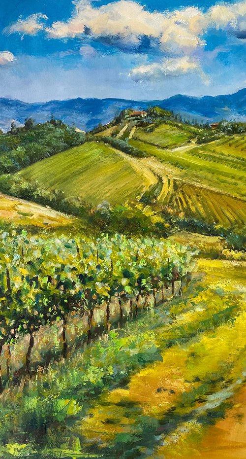 Vineyard At Montelloro, Tuscany by Conor McGuire