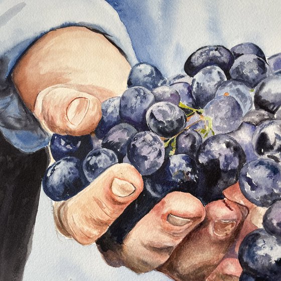 Harvest Bliss: Farmer's Hands with Grapes