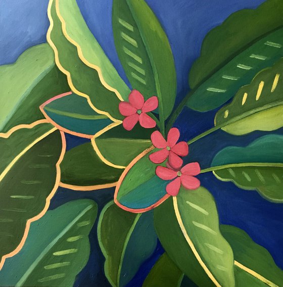 Frangipani