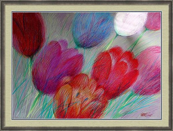 Tulips White