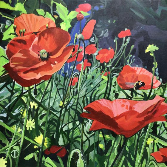 Wildflowers 2025