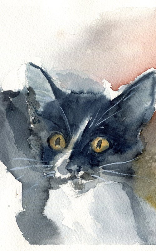 Cute kitten with yellow eyes by SVITLANA LAGUTINA