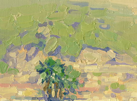 Midday at the port of Turunc