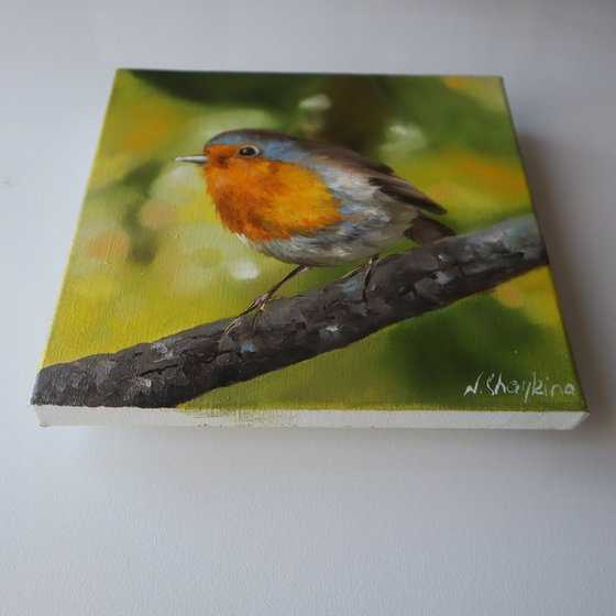 Robin Bird Painting