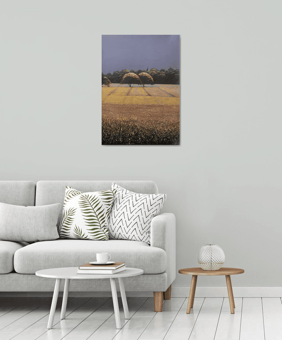 Lavender Fields 1