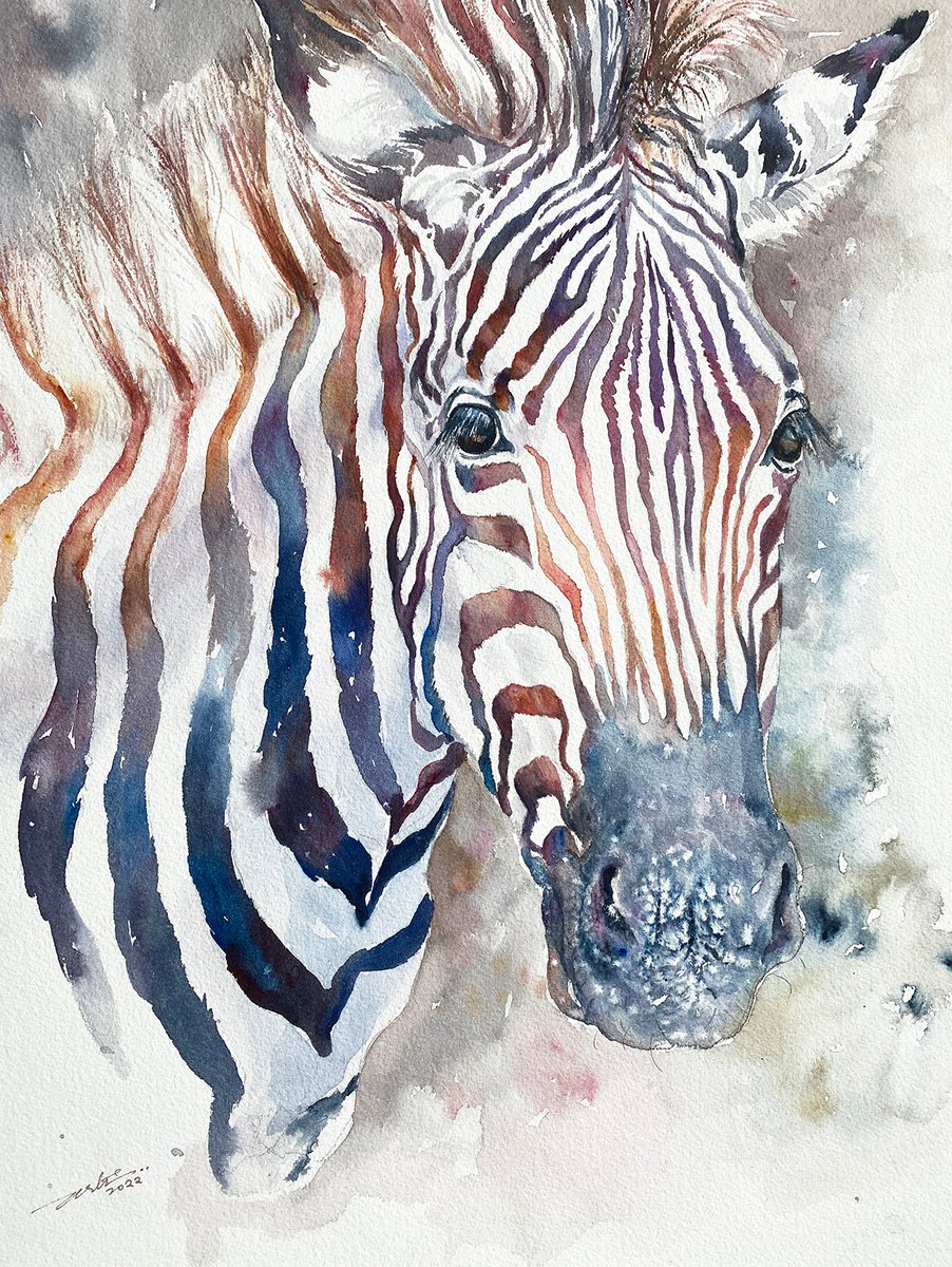 Impressionistic Animal Watercolour By Arti Chauhan, 12 X 16, Zebra Zen, Original Artwork