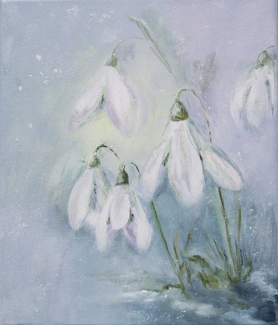 Snowdrops in the Morning Haze