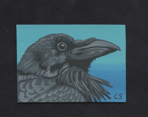 ACEO ATC Original Miniature Painting Crow Raven Bird Wildlife Art-Carla Smale