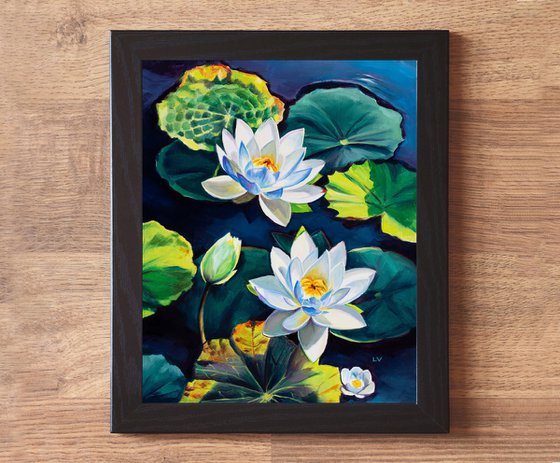 White water lily flowers on a pond