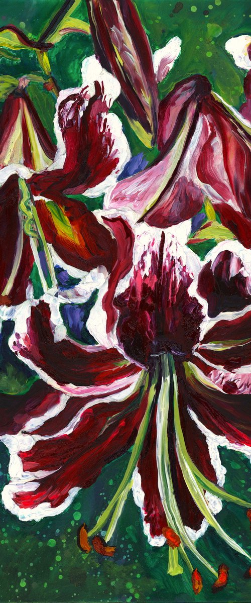 Magenta & White Lilies by Christina M Plichta