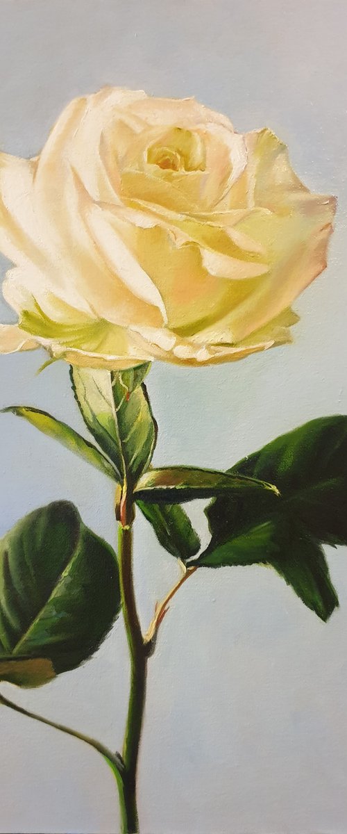 "Sounds of tenderness."  rose flower  liGHt original painting  GIFT (2021) by Anna Bessonova (Kotelnik)
