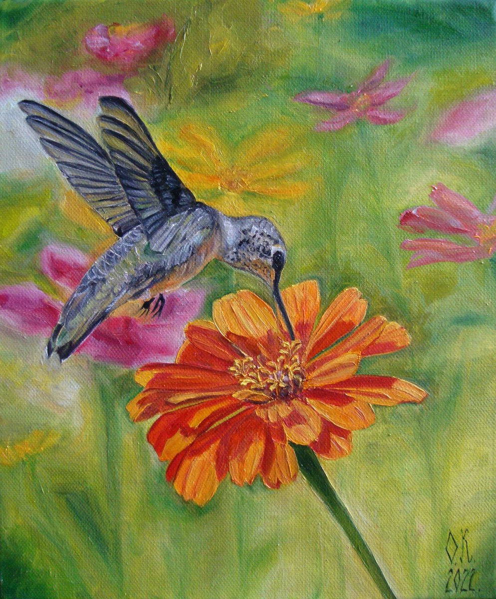 Hummingbird by Olga Knezevic