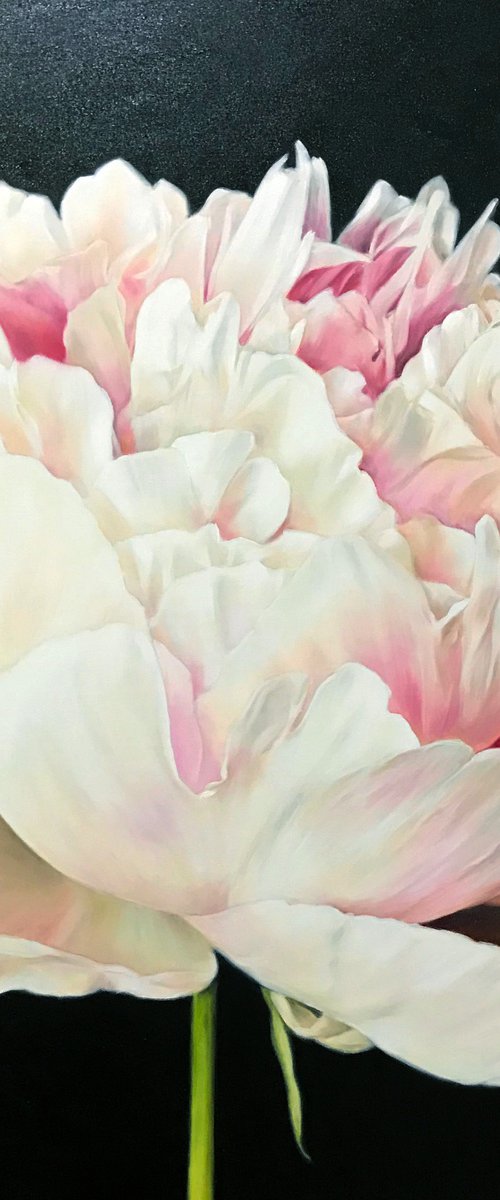 Square painting with peony on black 70*70 cm by Irina Ivlieva