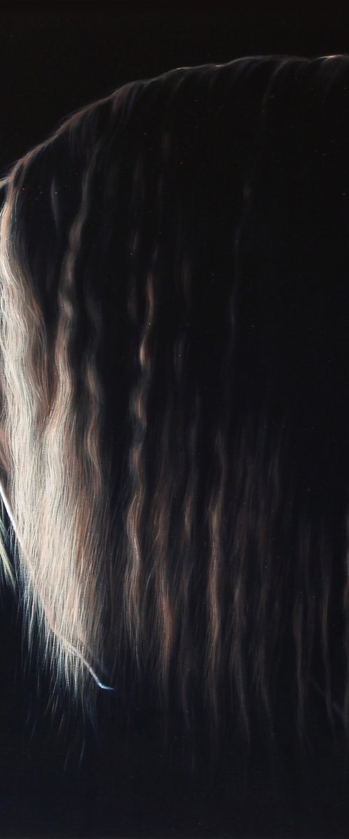 Light on the horse's mane by Marie Madej