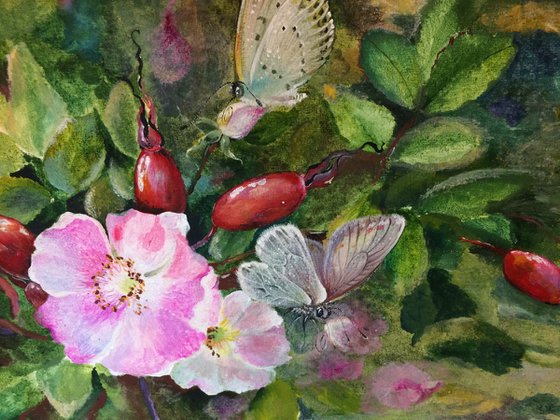 "WILD ROSES "