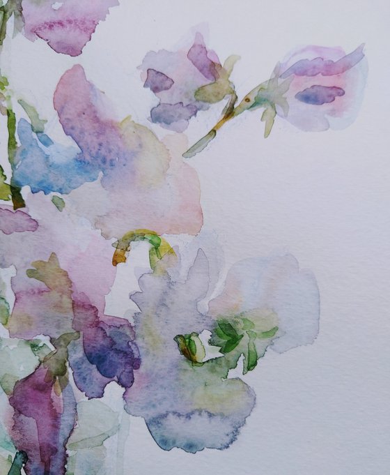 Sweet pea.  Original watercolour painting 2021