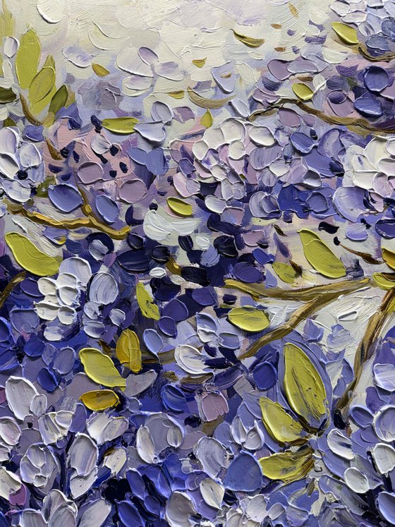 Wisteria