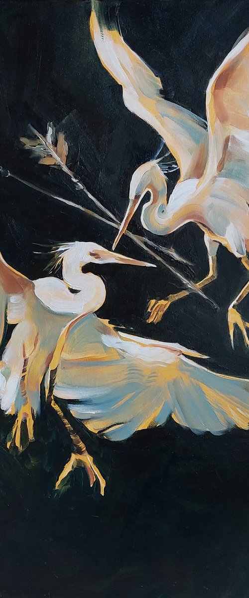 Two Cattle egrets by Kateryna Somyk