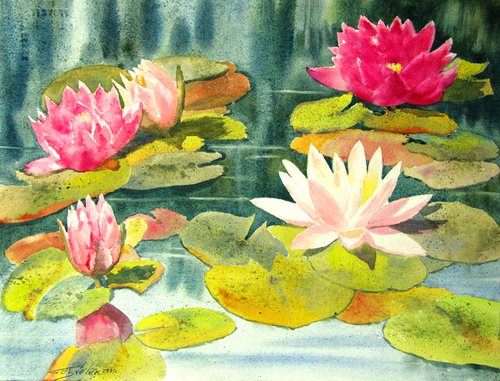Water lilies by Elena Gaivoronskaia