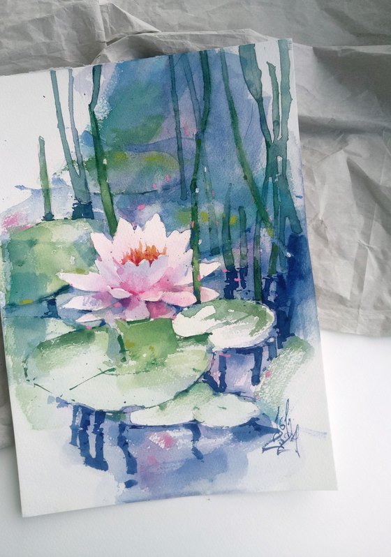 Water Lily Serenity