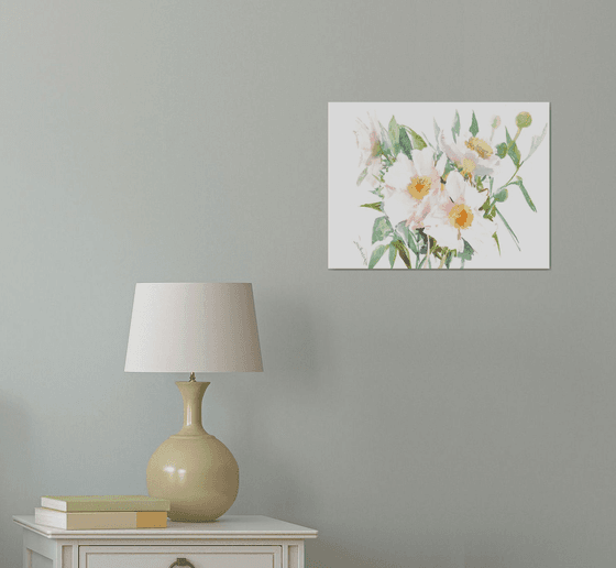 White Peony Flowers