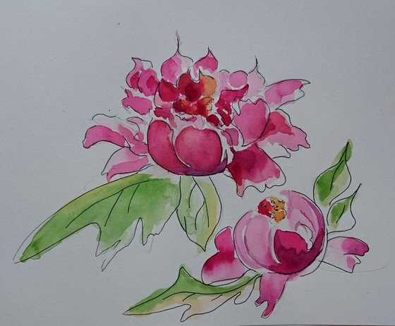 Peonies