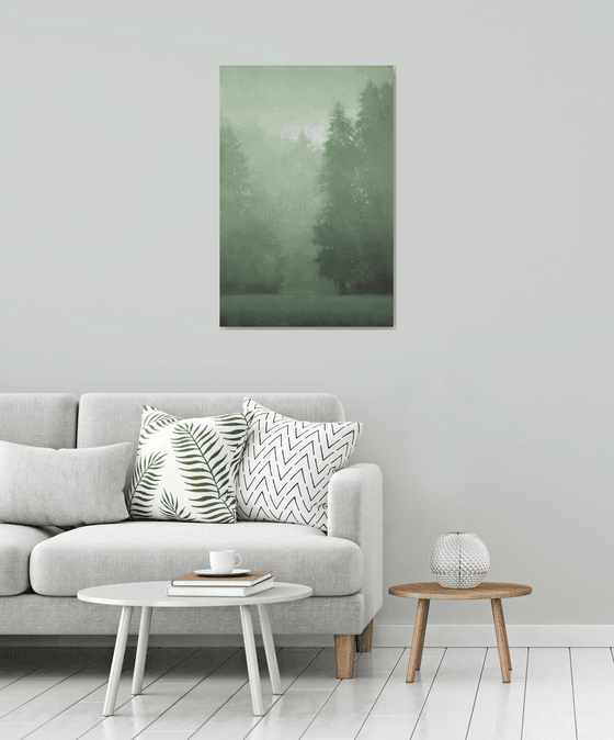 Misty Evergreens 102002, evergreen trees tonal landscape