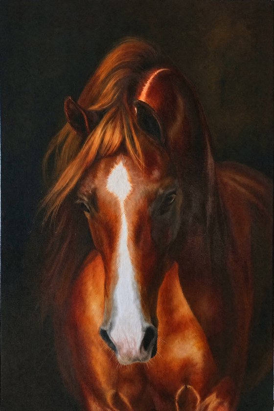 Red tenderness.