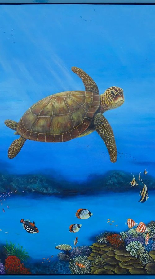 Greenback Turtle 2 by John N Mason