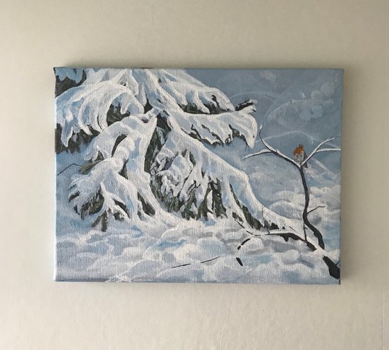 Robin in the Snow