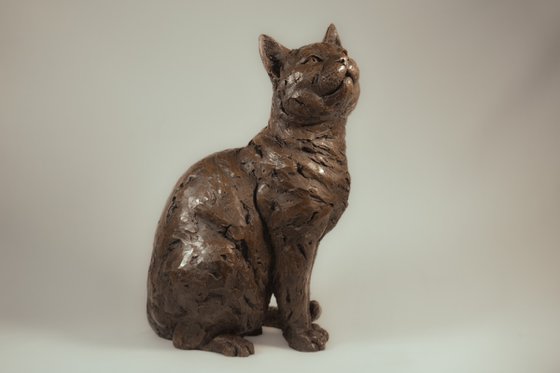Sitting Cat BR