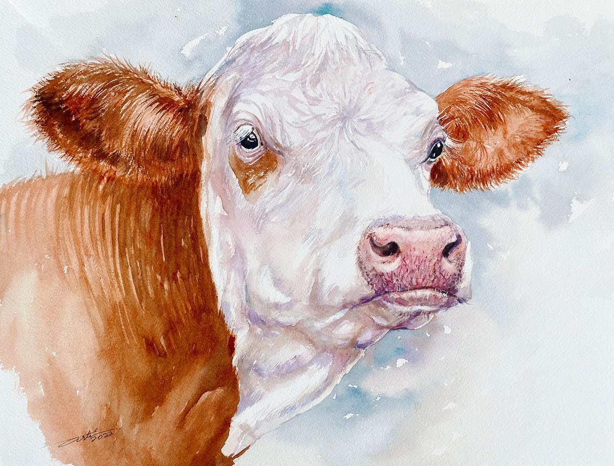 Photorealistic Animal Watercolour By Arti Chauhan, 16 X 12, Hereford Cow _Hetty, Original Artwork