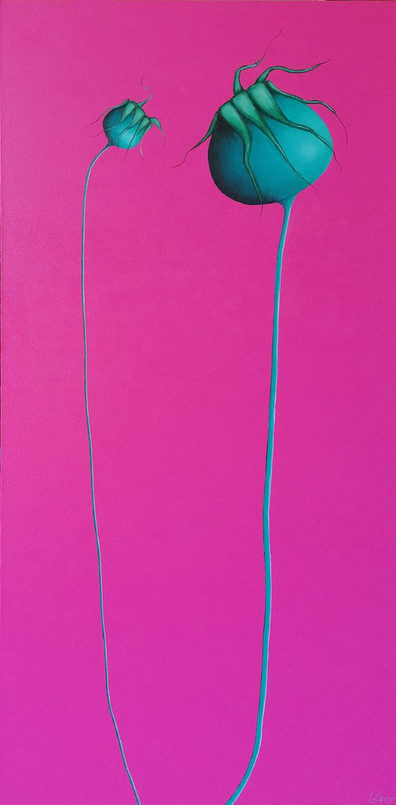 Rosa