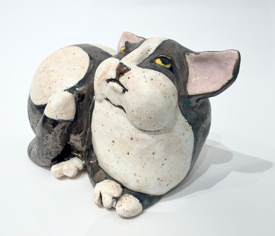 Whispers of Purrfect Peace