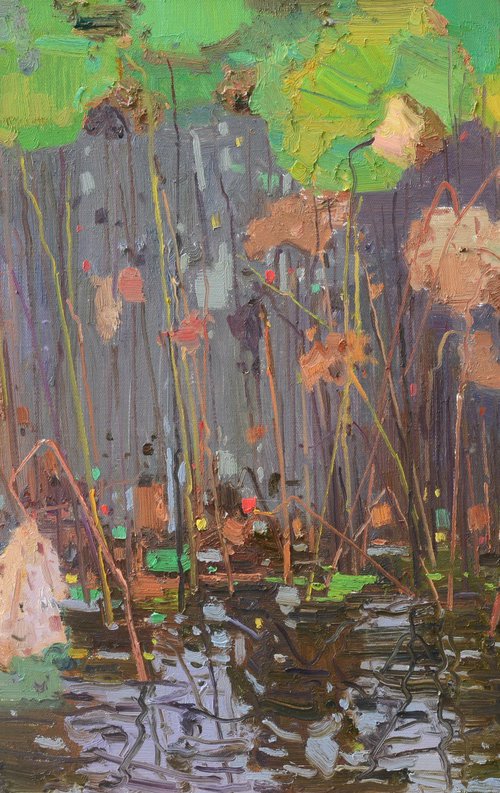 Waterlilies in pond 198 by jianzhe chon