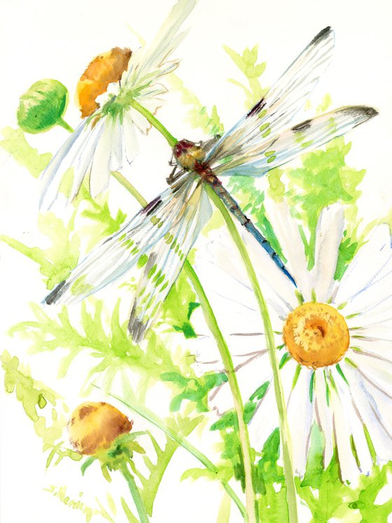 Dragonfly and Chamomiles