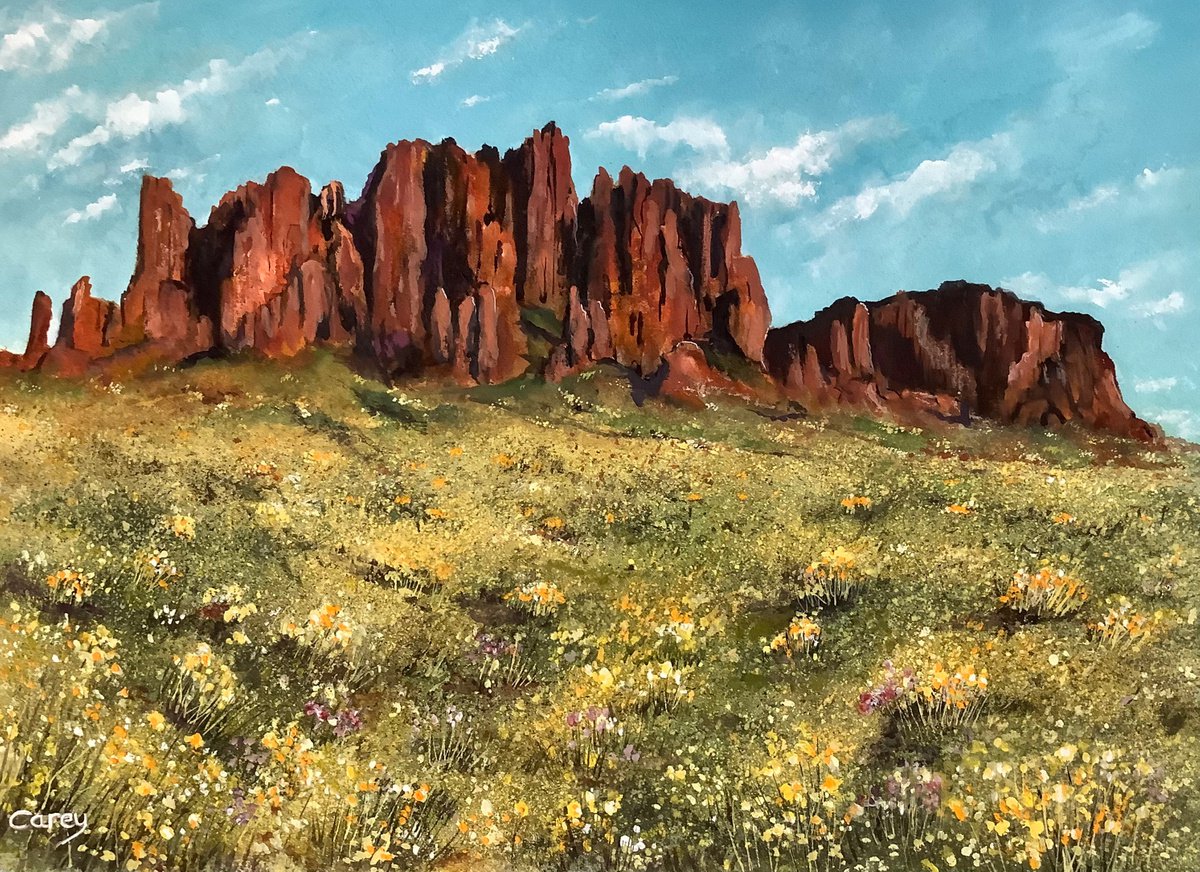 Desert in Flower by Darren Carey