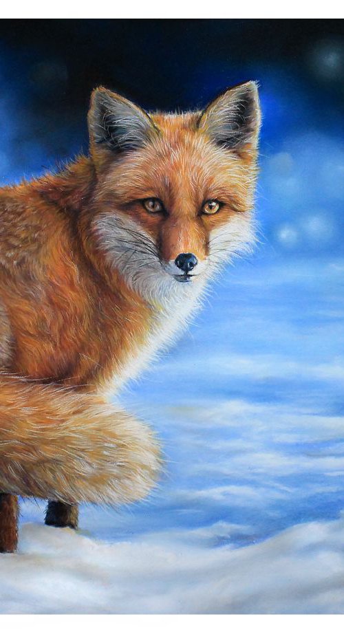 Fox in the snow by Tatjana Bril