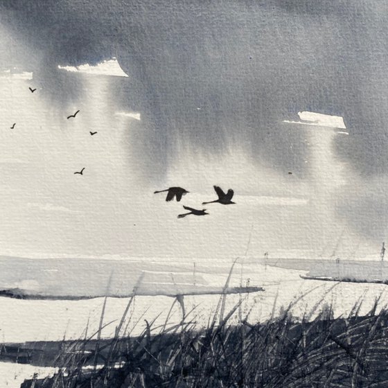 Monochrome Three Swans Marshland