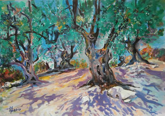 OLD OLIVES II 36.5 x 25.5 cm