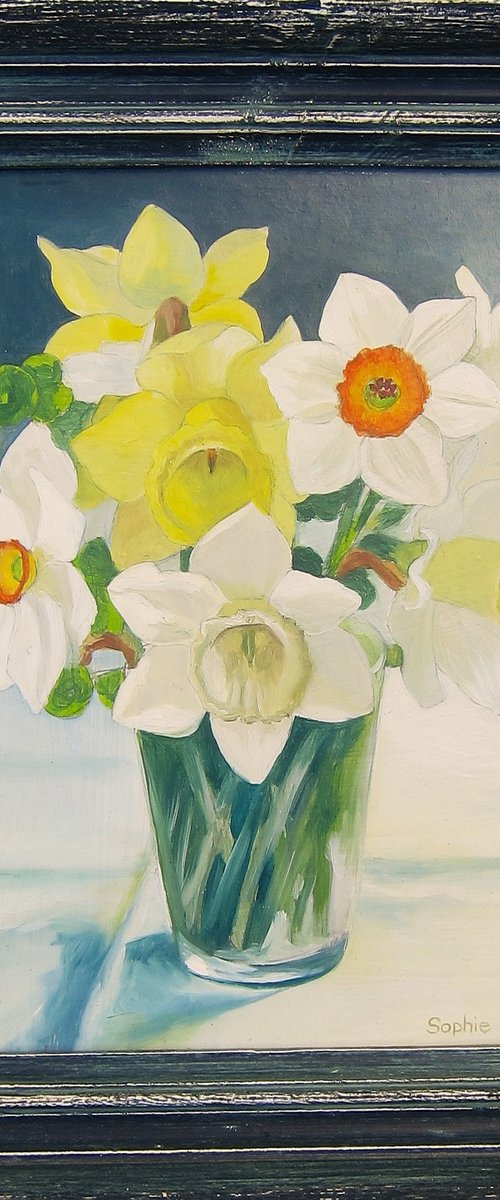Daffodils in a Glass by Sophie Colmer-Stocker