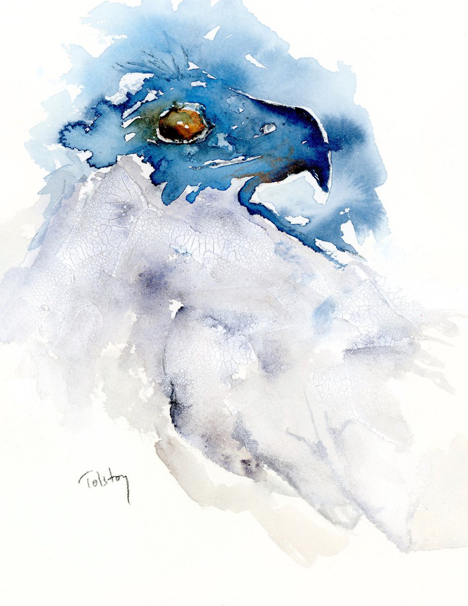 Impressionistic Animal Watercolour By Alex Tolstoy, 10 X 12, Raptor, Original Artwork